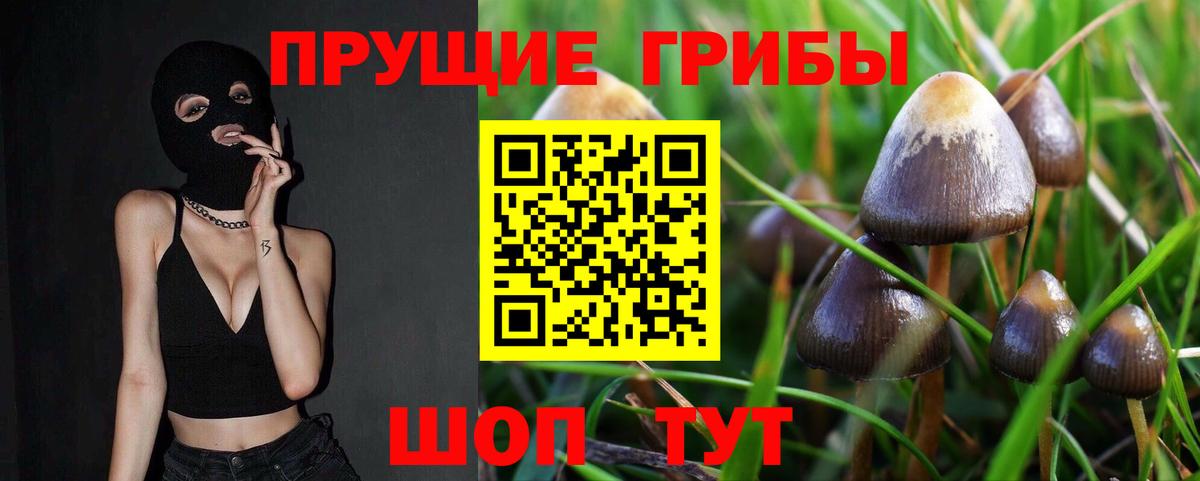 Псилоцибиновые грибы мицелий  Вход с VPN  Дзержинск  Галлюциногенные грибы мухоморы 